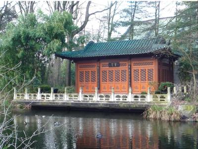 媒體報道